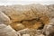 Bizarre rock formed by erosion Punakaiki, New Zealand South Island