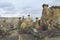 Bizarre rock-mushrooms in the vicinity of Ð¡havushin. Cappadocia