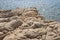 Bizarre sandstone rock formations on the coast of Rab island, Croatia.