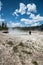 Bizon on geysers at scenic Yellowstone National Park at summer.