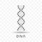 Black abstract DNA strand symbol isolated on transparent background.