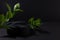 Black abstract stage one cylinder podium mockup, fresh green tropical leaves in hard light, shadows in elegant summer night style