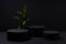 Black abstract stage with three circle podiums mockup, bright tropical green leaves, template for presentation cosmetic products