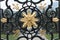 Black ad gold wrought iron gate