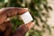 Black African American woman`s finger holding crystal cane sugar cube close up with sugarcane in background for organic natural