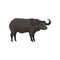 Black African buffalo wild animal vector Illustration on a white background