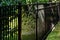 Black Aluminum Fence