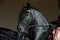 Black andalusian saddle horse portrait against dark stable barn