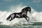 Black andalusian stallion and sea wave