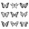 Black Animal Insect butterfly tattoo and silhouettes Icon Vector