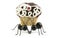 Black Ants Carrying Cupcake