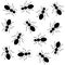 Black ants Seamless background