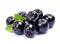 Black aronia berries.