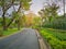 A black asfalt concrete jogging track in a public park, a man walking on curve shape walkway under evergreen leaves trees