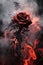 black ashes on a red rose. smoke, ashes, fire, flames, embers, powder, explosion, mist, fog, fantasy, surreal, abstract.