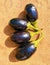 Black aubergine eggplant brinjal baingan solanum melongena edible vegetable food  berinjela tropical organic brinjals photo