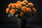 Black backdrop enhances vibrant potted orange Chrysanthemums perfect for text integration