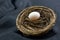 Black background highlights small nest egg as symbol of growth