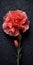 Black Background With Pink Carnation: Finely Rendered Textures And Meticulous Detailing