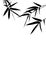 Black Bamboo Branches leaf. A simple and elegant black and white illustration of bamboo leave, evoking tranquility and minimalism