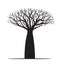 Black Baobab Tree with Roots. Vector outline Illustration. Plant in Garden