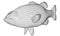 Black bass fish polygonal lines illustration.