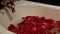 Black bath with water and petals of red roses