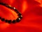 Black bead jewelry necklace on red satin background for valentines day