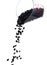 Black Bean fall, black grain beans explode abstract cloud fly from measuring cup. Beautiful complete seed pea bean, food object