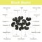 Black beans nutrient of facts and health benefits, info graphic