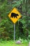 Black bear road crossing sign