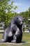 Black Bear Statue at Harbour, Kenora, Ontario, Canada