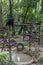 Black Bears at a Sanctuary at Kuang Si Waterfall near Luang Prabang, Laos