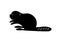 Black beaver silhouette. Vector