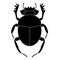 Black beetle of a scarab on a white background