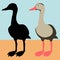 Black bellied whistling duck vector illustration flat style silhouette