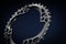 Black Bicycle chainring