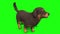 Black Big Dog Bark Front Green Screen 3D Rendering Animation