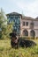 Black big dog of breed beauceron french shepherd lies on the background of an old building