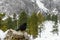 Black bird, alpine cough (Pyrrhocorax graculus) in snowy landscapes in the Julian Alps, Slovenia