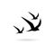 Black Bird in flight icon or logo