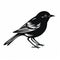 Black Bird Illustration: Accurate And Detailed Monochromatic Graphic Design