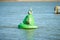 A black bird sitting on a water buoy. Green marker buoy floating in the sea. seagull, beacon. Sunny day summer.