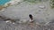 black bird with a white head and a brown tail sits near blue clear water