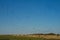 Black birds circling in the blue sky over the field