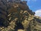 Black Birds on Large Rock Formation at La Tinosa Ecuador