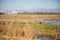 Black birds on swampy field with clear sky