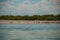 Black birds and white Pelican by the river. Rio Lagartos, Mexico. Yucatan