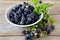 Black blackberries in a bowl