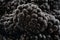 black BlackBerry closeup, macro photo